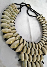 Load image into Gallery viewer, Cowrie Shell Majestic Necklace